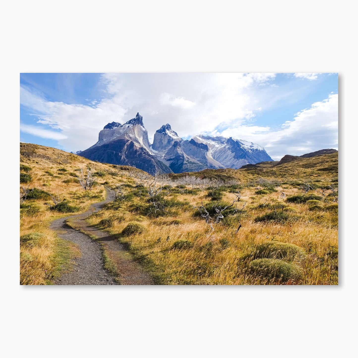 Patagonia Pathway